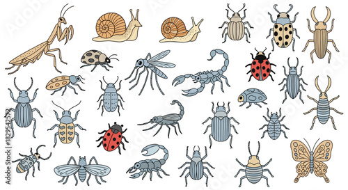 A large collection of hand-drawn insect illustrations including beetles scorpions snails a butterfly and a praying mantis.