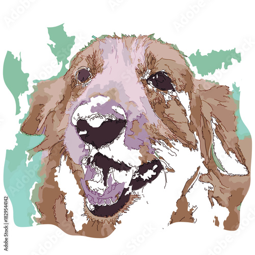  Sketch-style impressionnist painting,Portraits of Golden Retriever,Digital illustration vector image 