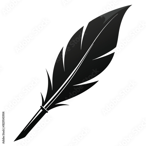 Single black feather quill with detailed texture stands out against the white background