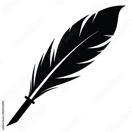 Detailed black feather exhibits textured barbs and a prominent calamus on white