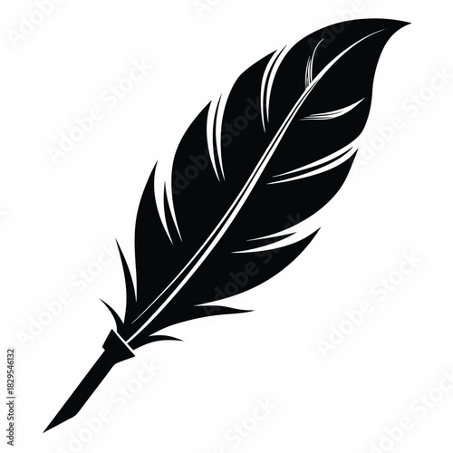 Elegant quill feather reveals refined texture and form in a classic black silhouette
