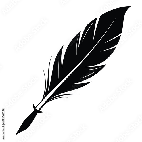 Isolated black quill feather shows subtle details and simple elegance in its unique design