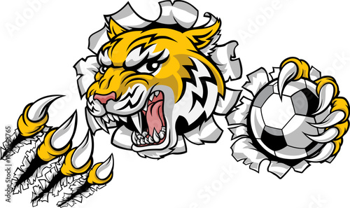 A wildcat or bobcat lynx bobcats wildcats sports team soccer football ball mascot