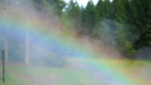 A faint rainbow appears in a misty forest setting.