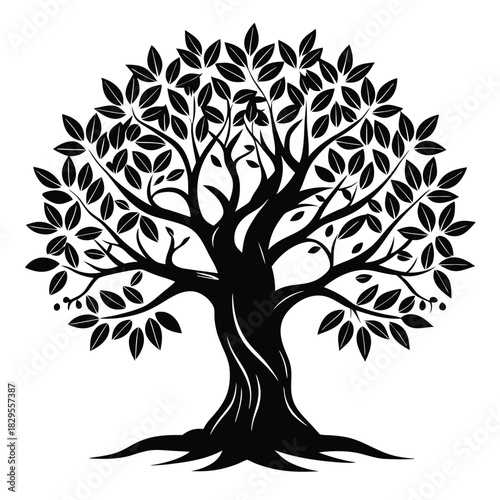 Isolated black silhouette reveals a beautiful foliage tree with dense leaves and roots