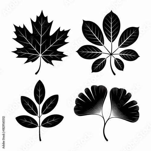 A minimalist, graphic illustration featuring four distinct types of stylized leaves arranged in a 2x2 grid against a stark white background. 