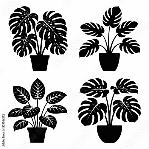 This image is a minimalist, graphic illustration featuring four stylized potted plants rendered in solid black silhouette against a pure white background.