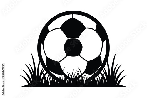 Black and white shows a soccer ball resting among tall grass