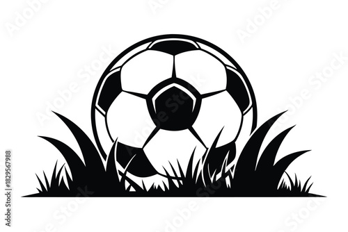 A black and white soccer ball rests partially hidden in tall grass blades below