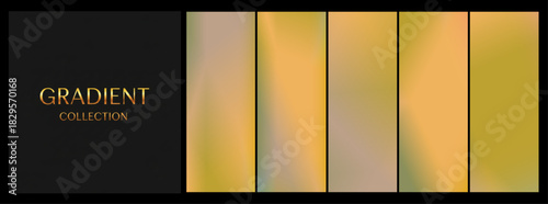 Pearlescent GRADIENT COLLECTION in soft olive and gold for elegant web design with copy space