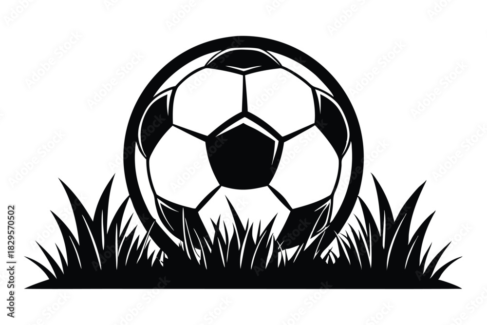 Obraz premium Black and white soccer ball rests in a patch of grassy field image