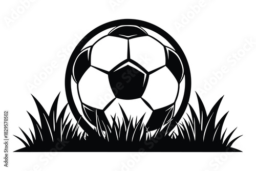Black and white soccer ball rests in a patch of grassy field image