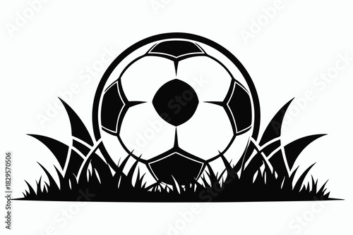 Monochrome soccer ball sits nestled low amidst grass blades, a simple and striking image