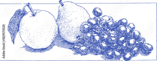 A blue and white drawing of an apple and a pear. The apple is on the left and the pear is on the right. vector illustration