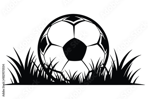 Black and white soccer ball lies in grass, showcasing a stylized minimalist vector