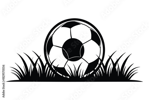 A black and white soccer ball rests among shaded grass blades perfectly
