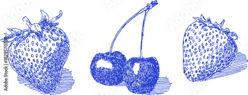 A blue drawing of a cherry and a strawberry. The cherry is on the left and the strawberry is on the right. vector illustration