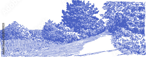 A blue and white drawing of a forest with a road. The trees are green and the sky is blue. vector illustration
