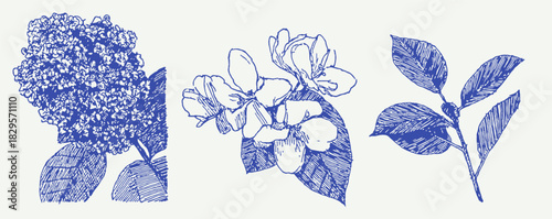 Three blue flowers are shown in the image. The flowers are different types and are all blue. The flowers are arranged in a row. vector illustration