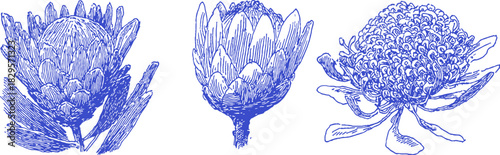 Three blue flowers are shown in the image. The flowers are all different shapes and sizes. The first flower is large. vector illustration
