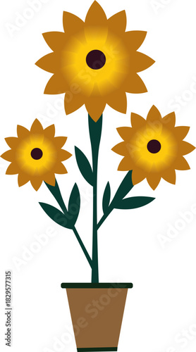 sunflower in a pot