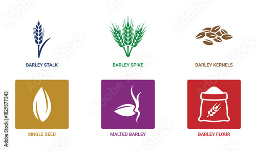Barley cereal icons collection showcasing various forms like stalk, spike, kernels, and flour