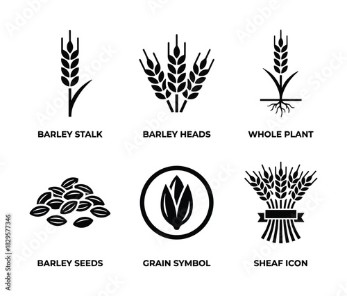 Barley plant parts and grain symbols flat icons set including stalk heads whole plant seeds symbol and sheaf vector illustration