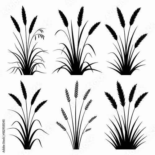 A collection of six distinct silhouette illustrations of stylized grasses and wheat stalks, arranged in two rows of three. 
