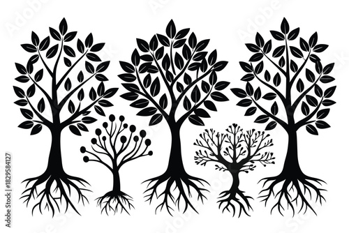 Three mature trees and two young saplings showcase detailed root systems in black silhouettes