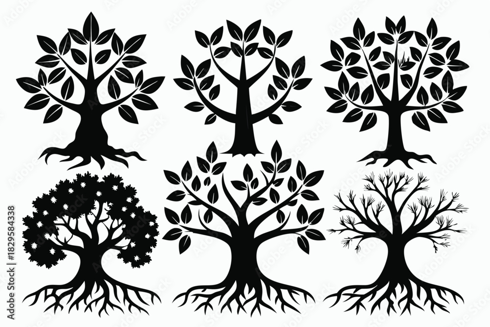 Fototapeta premium Six different style deciduous trees display unique foliage and branching patterns in black silhouettes