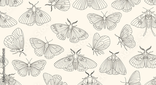 Seamless pattern with various hand-drawn moths and butterflies in a vintage-style black and white line art illustration.