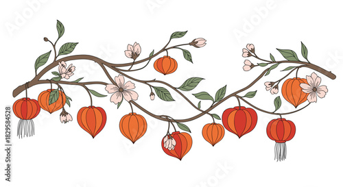 Elegant branch of a cherry blossom tree decorated with traditional chinese lanterns creating a beautiful and cultural illustration.