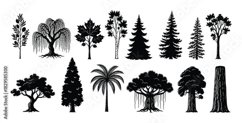 Set of black silhouette trees including olive weeping willow maple birch spruce and palm on white background