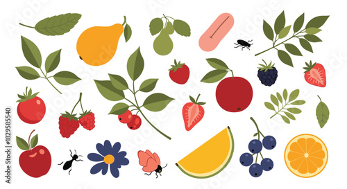 A charming collection of summer fruits berries leaves flowers and insects perfect for a fresh and natural garden-themed design.