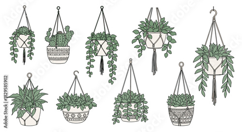 A charming collection of hand-drawn houseplants in bohemian macrame hanging planters for a cozy and stylish home decor design.