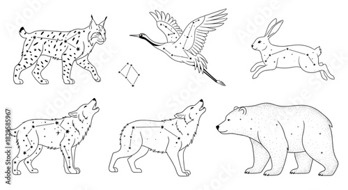 A mystical set of celestial animals with star constellations mapped on their bodies in a black and white line art style.