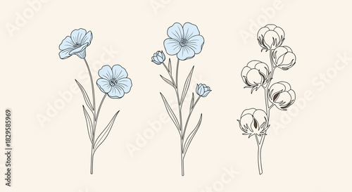 A delicate set of botanical line art illustrations featuring blue flax flowers and a branch of natural cotton plant bolls.