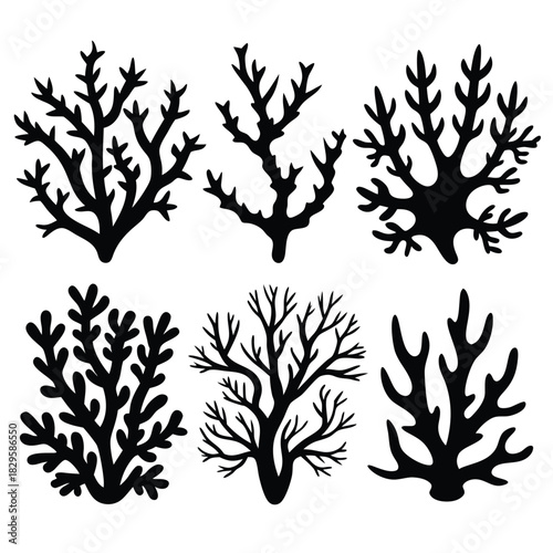 Six different black coral silhouettes are displayed against a pure white background