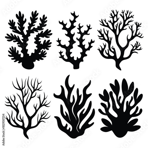 Six different coral silhouettes showcase unique shapes and textures against a plain background