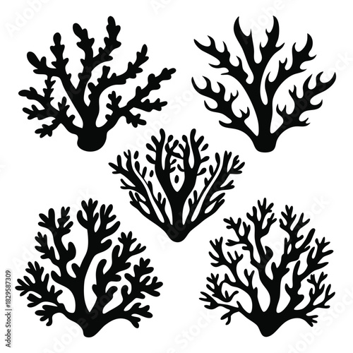 A stark contrast showcases five distinct coral formations, each with a unique silhouette