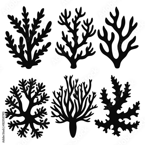 Six diverse seaweed silhouette shapes feature intricate branching patterns against a stark white background