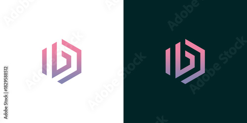 Modern Hexagonal Geometric Logo Design with Gradient Colors on White and Dark Backgrounds