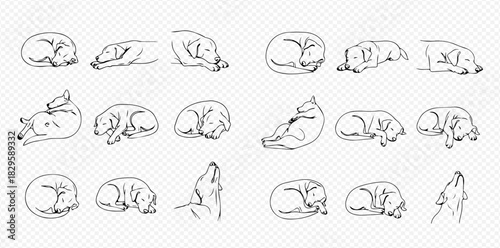 Set of hand-drawn line art illustrations depicting dogs in various sleeping and resting positions, including one howling.