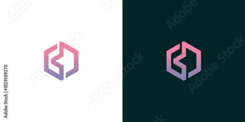 Modern Hexagon Logo Design Elegant Branding for Business and Technology on a Light and Dark Background