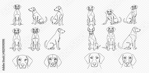 Collection of minimalist line art illustrations featuring various dog poses, including sitting, standing, and detailed facial expressions, perfect for graphic design.