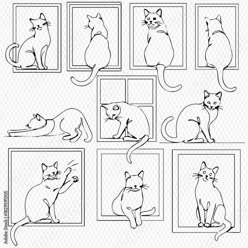 A collection of black and white line art drawings depicting various cats in different poses, some sitting on windowsills or within frames.