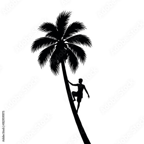 Silhouette of a man climbing a tall palm tree.