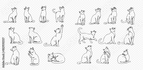 A collection of minimalist line art illustrations depicting cats in various poses, including sitting, stretching, walking, grooming, and sleeping.