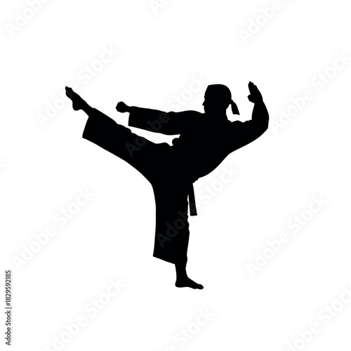 Silhouette of a martial artist performing a kick.