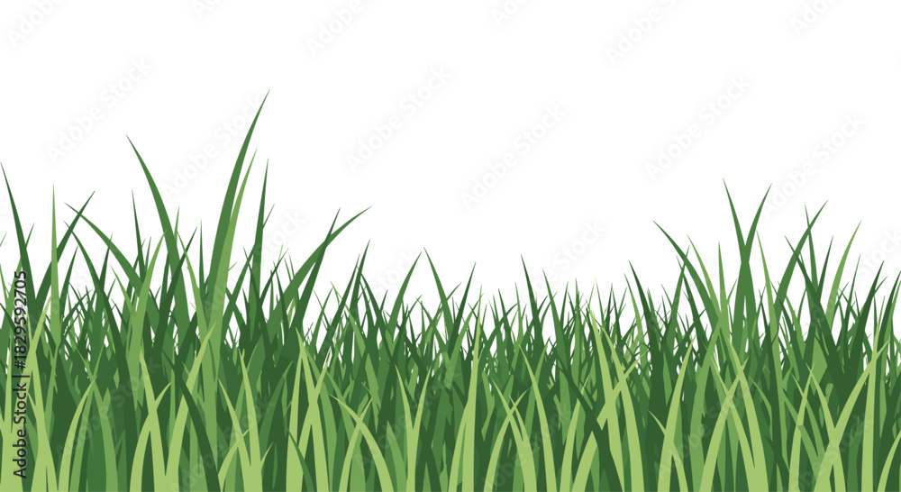 Fototapeta premium Lush, fresh green grass blades create a vibrant natural border against a bright white background, ideal for spring and nature themes.